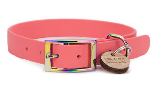Produktbild von Biothane Halsband Apricot - L (39-49cm) regenbogen