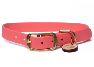 Produktbild von Biothane Halsband Apricot - S (25-33cm) gold