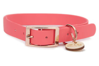 Produktbild von Biothane Halsband Apricot - S (25-33cm) rosegold