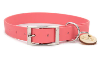 Produktbild von Biothane Halsband Apricot - S (25-33cm) silber