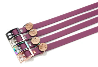 Produktbild von Biothane Halsband Beere - M (33-40cm) regenbogen