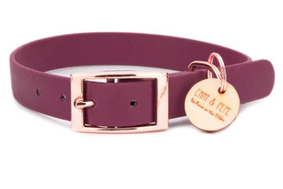 Produktbild von Biothane Halsband Beere - S (25-33cm) rosegold
