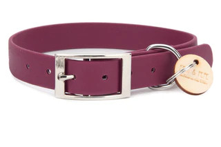 Produktbild von Biothane Halsband Beere - S (25-33cm) silber