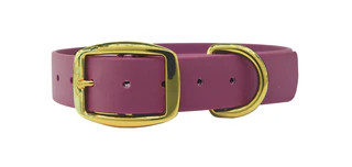 Produktbild von Biothane Halsband Beere - XS (20-25cm) gold