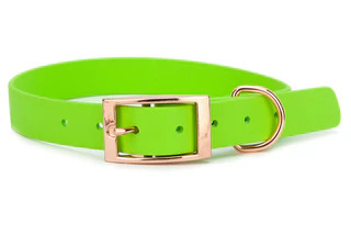 Produktbild von Biothane Halsband Limette - L (39-49cm) gold