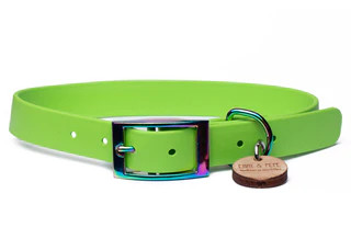 Produktbild von Biothane Halsband Limette - S (25-33cm) regenbogen