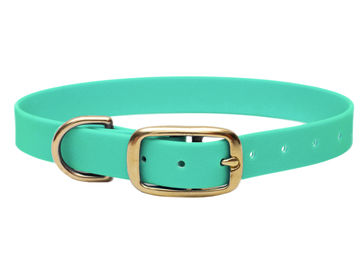 Produktbild von Biothane Halsband Mint L (39-49cm) / Gold