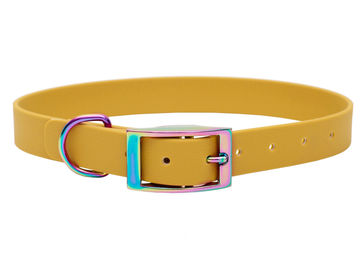 Produktbild von Biothane Halsband Sonnengelb M (33-40cm) / Regenbogen