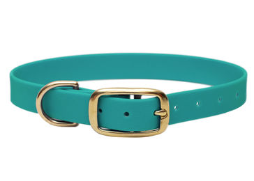 Produktbild von Biothane Halsband Türkis M (33-40cm) / Gold