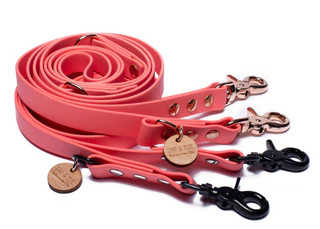 Produktbild von Biothaneleine Apricot - 25mm - 2m verstellbar mit regenbogen Bolzenkarabiner