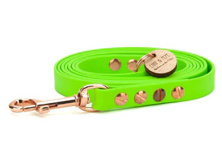 Produktbild von Biothaneleine Limette - 16mm - 2m verstellbar mit rosegoldenem Bolzenkarabiner