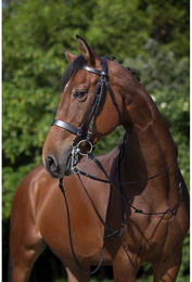 Produktbild von Birde Riding World