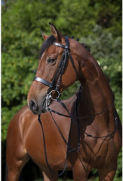 Produktbild von Birde Riding World