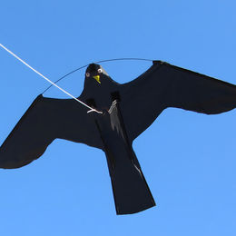 Produktbild von Birdshield Vogelabwehr Ersatzdrachen