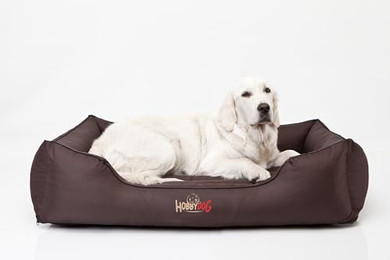 Produktbild von Bjird Hundebett Comfort für kleine bis große Hunde