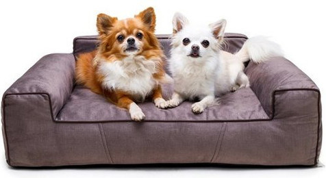 Produktbild von Bjird Hundebett LUNA Fancy mit abnehmbarem Bezug
