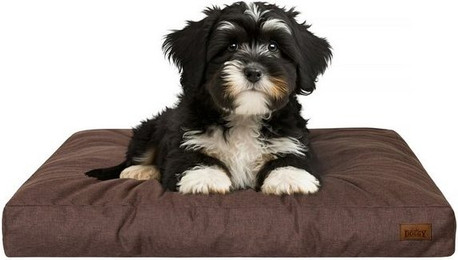 Produktbild von Bjird Hundematratze Grand Hundebett wasserabweisend