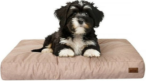 Produktbild von Bjird Hundematratze Grand Hundebett wasserabweisend