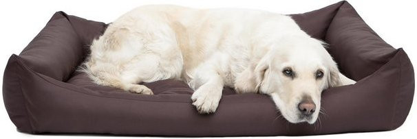 Produktbild von Bjird Tierbett Hundebett Eco