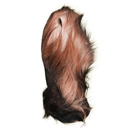 Produktbild von BLACK CANYON Kalbs-Ohren mit Fell – Natürlicher Kausnack für Hunde (2 Stk.)