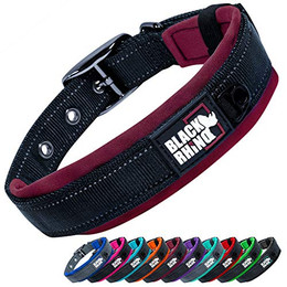 Produktbild von Black Rhino Komforthalsband mit Neoprenpolsterung für Hunde - 1 Stk.