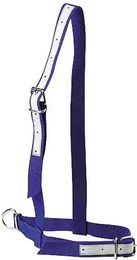 Produktbild von Blaues Nylonhalfter für Kühe Kamer