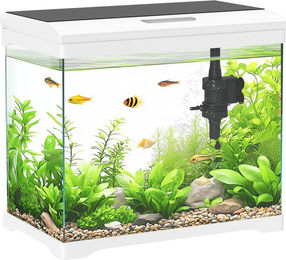 Produktbild von BlingBin Aquarien-Set 17 L Tropenfischaquarium, Aquarium