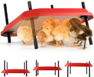 Produktbild von BlingBin Hühnerstall Küken-Wärmeplatte mit Temperaturregler 30/42W