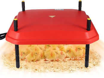 Produktbild von BlingBin Hühnerstall Küken-Wärmeplatte mit Temperaturregler 42W