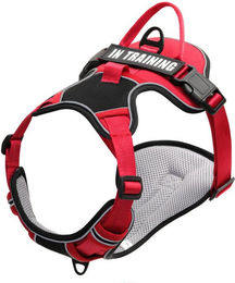 Blusmart Hunde-Geschirr Anti-Zug Hundegeschirr Atmungsaktiv Reflektierend Einstellbar, Nylon, Outdoor Wandern Geschirr für Medium Large Hunde Pet Liefert – Bild 1 von 5