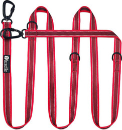 Produktbild von Bluzelle Führleine, Starke Nylon Leine -