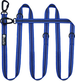 Produktbild von Bluzelle Führleine, Starke Nylon Leine -