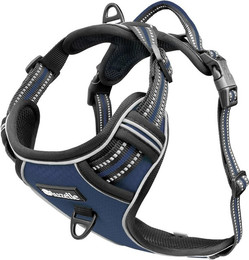 Produktbild von Bluzelle Hunde-Sicherheitsgeschirr Hundegeschirr mit Tasche /