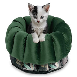 Produktbild von bo&flash Design Katzenbett Max