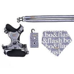Produktbild von bo&flash Hundegeschirr Set Boston mit robuster Leine - 2,5 m