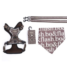 Produktbild von bo&flash Hundegeschirr Set Boston mit robuster Leine - 2,5 m
