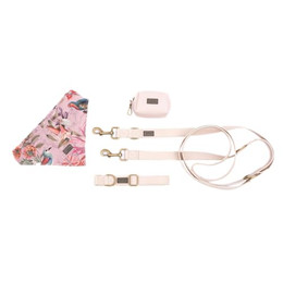 Produktbild von bo&flash Hundeleinen Set Charleston für große Hunde