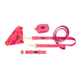 Produktbild von bo&flash Hundeleinen Set Charleston für kleine Hunde - 2,5 m