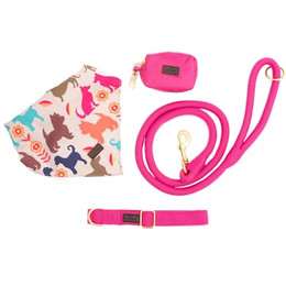 Produktbild von bo&flash Hundeleinen Set Santa Fe für große Hunde - 1,2 m