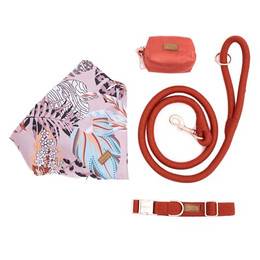 Produktbild von bo&flash Hundeleinen Set Santa Fe für kleine Hunde