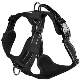 Produktbild von Bobby Rando Walk Hundegeschirr aus Nylon