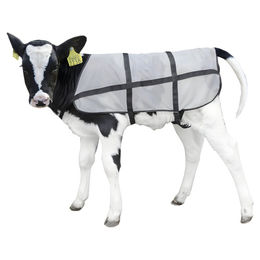 Produktbild von Bodyguard Kalb Sommerdecke