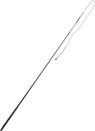 Bogenpeitsche – Bild 1 von 2