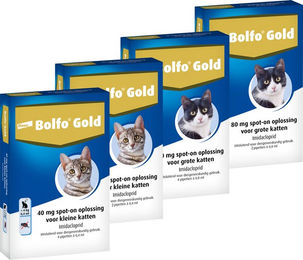 Bolfo Gold Katze 80 - 4 Pipetten – Bild 1 von 2