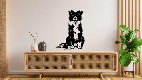 Produktbild von Border Collie Wandtattoo Wandbild Wandsticker Wandaufkleber Wanddekoration