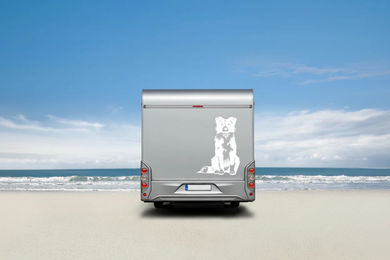 Produktbild von Border Collie Wohnmobil Aufkleber I Wandtattoo