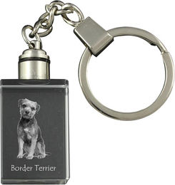 Produktbild von Border Terrier - Kristallschlüsselanhänger mit Hundefoto, beleuchteter Schlüsselanhänger, einzigartiges Geschenk der Marke Art-Dog transparent