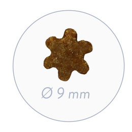 Produktbild von Bosch Finest Snack Concept Fruitees Frische Wachtel und Feige - 4 x 200 g