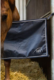 Produktbild von Boxentür HFI