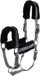 BR Fellhalfter Dante – Bild 1 von 2